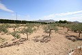 Detached Country House close to Monovar with great views in Alicante Dream Homes API 1122