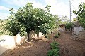 4 bedroom Cave House in Casas del Senor in Alicante Dream Homes API 1122