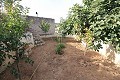 4 bedroom Cave House in Casas del Senor in Alicante Dream Homes API 1122