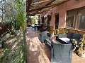 Pinoso house in Alicante Dream Homes API 1122