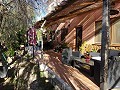 Pinoso house in Alicante Dream Homes API 1122