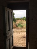 Fälle des Seniorenhauses in Alicante Dream Homes API 1122