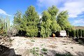 Detached Villa in Monovar with two guest houses and a pool in Alicante Dream Homes API 1122