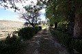 Detached Villa in Monovar with two guest houses and a pool in Alicante Dream Homes API 1122