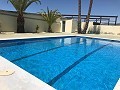 Grande maison de campagne avec commerce de marbre et plantation de raisin in Alicante Dream Homes API 1122