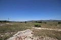Grande maison de campagne avec commerce de marbre et plantation de raisin in Alicante Dream Homes API 1122