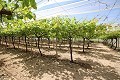 Grande maison de campagne avec commerce de marbre et plantation de raisin in Alicante Dream Homes API 1122