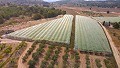 Grande maison de campagne avec commerce de marbre et plantation de raisin in Alicante Dream Homes API 1122