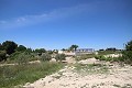 Grande maison de campagne avec commerce de marbre et plantation de raisin in Alicante Dream Homes API 1122