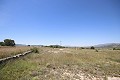 Grande maison de campagne avec commerce de marbre et plantation de raisin in Alicante Dream Homes API 1122