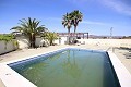Grande maison de campagne avec commerce de marbre et plantation de raisin in Alicante Dream Homes API 1122