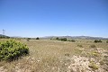 Grande maison de campagne avec commerce de marbre et plantation de raisin in Alicante Dream Homes API 1122
