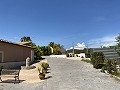 Grande maison de campagne avec commerce de marbre et plantation de raisin in Alicante Dream Homes API 1122