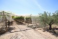 Grande maison de campagne avec commerce de marbre et plantation de raisin in Alicante Dream Homes API 1122