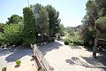 Grande maison de campagne avec commerce de marbre et plantation de raisin in Alicante Dream Homes API 1122
