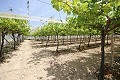 Grande maison de campagne avec commerce de marbre et plantation de raisin in Alicante Dream Homes API 1122