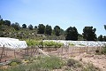 Grande maison de campagne avec commerce de marbre et plantation de raisin in Alicante Dream Homes API 1122