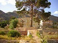 Finca de 12,441m2 en Raiguero de Bonanza, Orihuela in Alicante Dream Homes API 1122