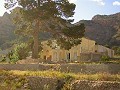 Finca de 12,441m2 en Raiguero de Bonanza, Orihuela in Alicante Dream Homes API 1122