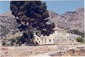 Finca de 12,441m2 en Raiguero de Bonanza, Orihuela in Alicante Dream Homes API 1122