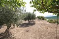 Detached Villa close to town in Caudete in Alicante Dream Homes API 1122
