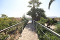 Detached Villa close to town in Caudete in Alicante Dream Homes API 1122