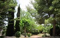 6 Bed Mansion 3km from Yecla in Alicante Dream Homes API 1122