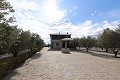 Magnificent 6 Bed Villa in Sax  in Alicante Dream Homes API 1122