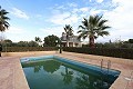 Magnificent 6 Bed Villa in Sax  in Alicante Dream Homes API 1122