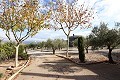Magnificent 6 Bed Villa in Sax  in Alicante Dream Homes API 1122