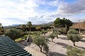 Magnificent 6 Bed Villa in Sax  in Alicante Dream Homes API 1122