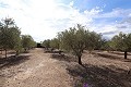 Magnificent 6 Bed Villa in Sax  in Alicante Dream Homes API 1122