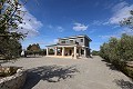 Magnificent 6 Bed Villa in Sax  in Alicante Dream Homes API 1122