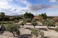 Magnificent 6 Bed Villa in Sax  in Alicante Dream Homes API 1122