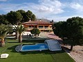 Große freistehende Villa mit Pool in der Nähe der Stadt in Elda-Petrer in Alicante Dream Homes API 1122