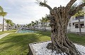 Incroyable appartement avec immense piscine commune et 4 terrains de golf à proximité in Alicante Dream Homes API 1122