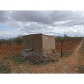 Plot in Raspay in Alicante Dream Homes API 1122
