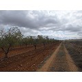 Plot in Raspay in Alicante Dream Homes API 1122