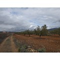 Plot in Raspay in Alicante Dream Homes API 1122