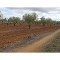 Plot in Raspay in Alicante Dream Homes API 1122