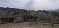 Cave House for sale in La Umbria, Abanilla, Murcia in Alicante Dream Homes API 1122