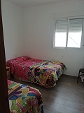 Lovely Villa in Ricabacica, Abanilla + olive grove in Partidor in Alicante Dream Homes API 1122