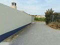 Lovely Villa in Ricabacica, Abanilla + olive grove in Partidor in Alicante Dream Homes API 1122