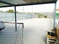 Lovely Villa in Ricabacica, Abanilla + olive grove in Partidor in Alicante Dream Homes API 1122