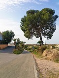 Lovely Villa in Ricabacica, Abanilla + olive grove in Partidor in Alicante Dream Homes API 1122