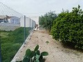 Lovely Villa in Ricabacica, Abanilla + olive grove in Partidor in Alicante Dream Homes API 1122