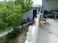 Lovely Villa in Ricabacica, Abanilla + olive grove in Partidor in Alicante Dream Homes API 1122