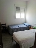 Lovely Villa in Ricabacica, Abanilla + olive grove in Partidor in Alicante Dream Homes API 1122