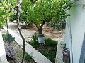 Lovely Villa in Ricabacica, Abanilla + olive grove in Partidor in Alicante Dream Homes API 1122