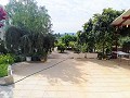 Lovely Villa in Ricabacica, Abanilla + olive grove in Partidor in Alicante Dream Homes API 1122